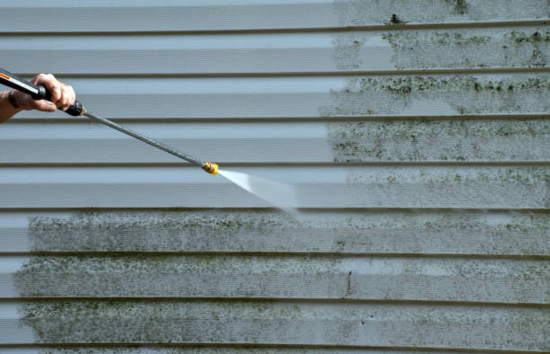 Best Pressure Washing Patio  in Runge, TX